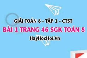 Giải bài 1 trang 46 Toán 8 Tập 1 SGK Chân trời sáng tạo